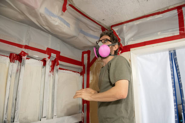 Best Black Mold Removal  in USA